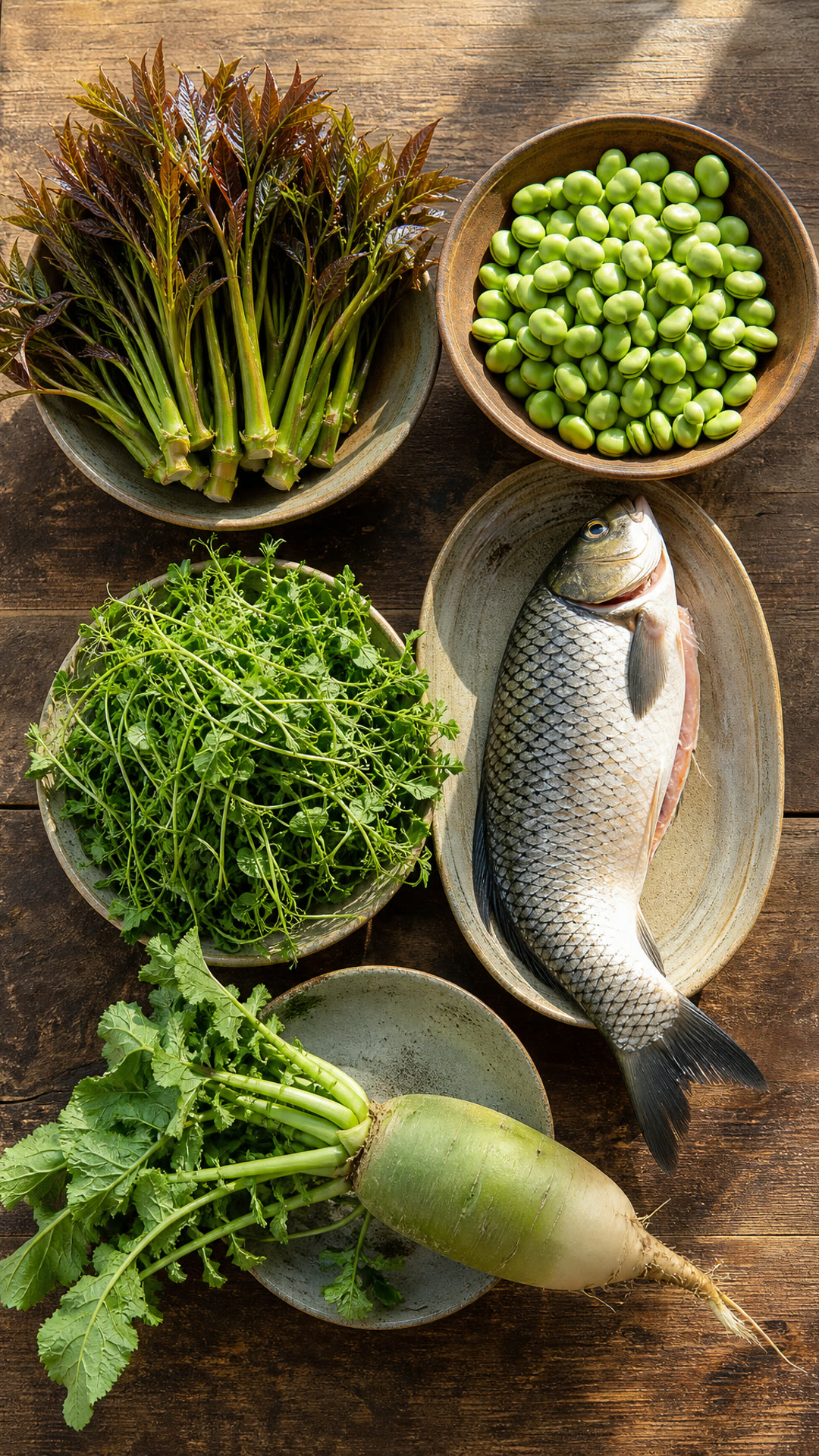 香椿, 蚕豆, 豌豆苗, 草鱼, 春萝卜