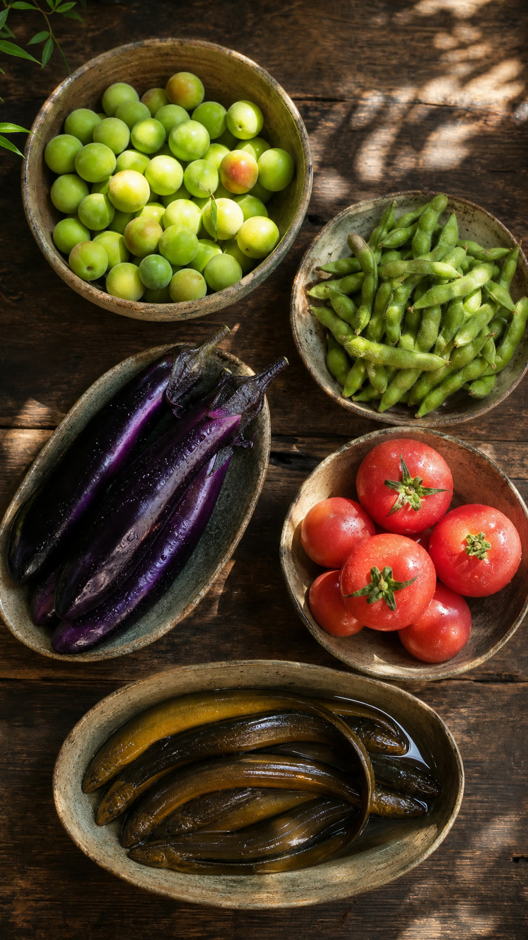 Plum (Meizi), Edamame (Maodou), Eggplant (Qiezi), Tomato (Xihongshi), Eel (Huangshan)